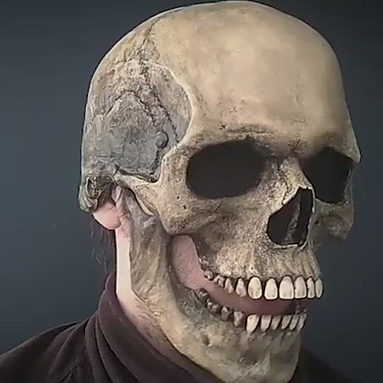 Full Head, Moveable Jaw White/Gray Skull Mask