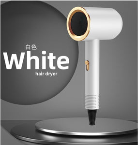 Professional Lightweight Hot/Cold Salon-style Hair Dryer